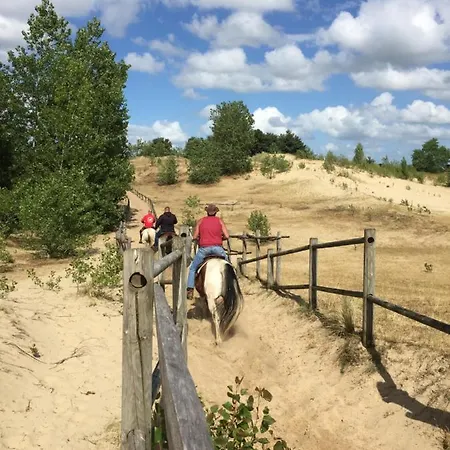 Apartment Cosea Oostduinkerke
