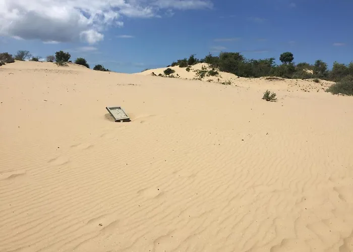 Cosea Διαμέρισμα